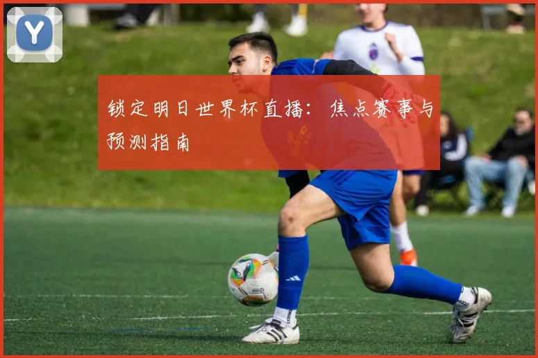 锁定明日世界杯直播：焦点赛事与预测指南