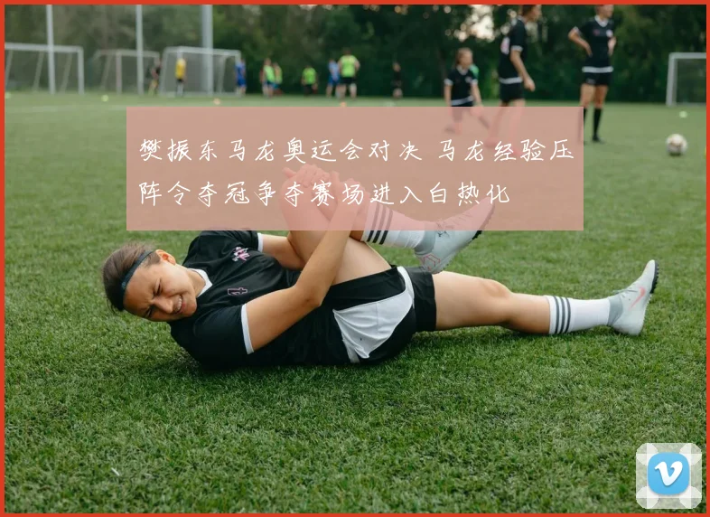 樊振东马龙奥运会对决 马龙经验压阵令夺冠争夺赛场进入白热化