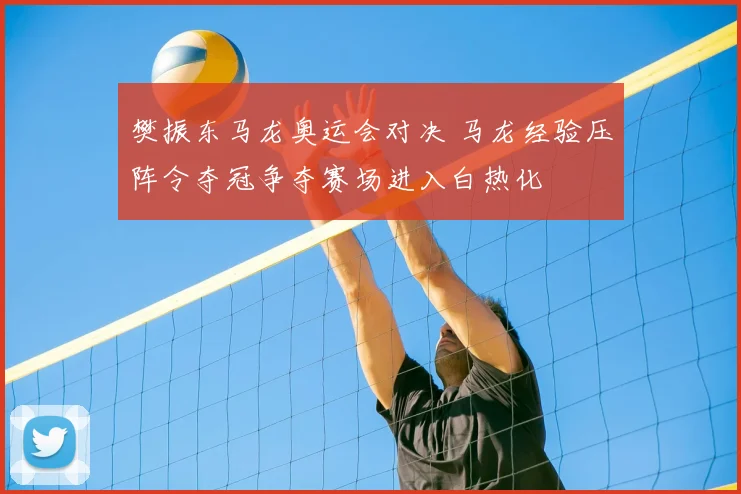 樊振东马龙奥运会对决 马龙经验压阵令夺冠争夺赛场进入白热化