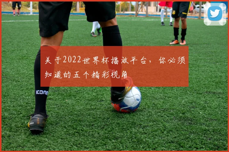 关于2022世界杯播放平台,你必须知道的五个精彩视角
