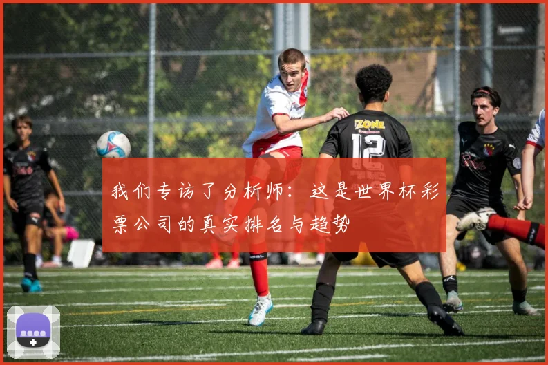 我们专访了分析师：这是世界杯彩票公司的真实排名与趋势