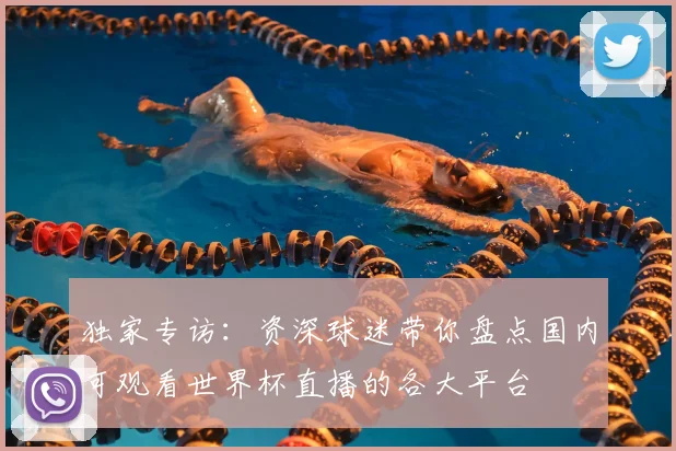 独家专访:资深球迷带你盘点国内可观看世界杯直播的各大平台