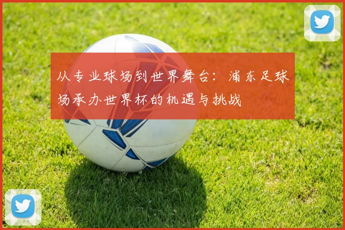 从专业球场到世界舞台:浦东足球场承办世界杯的机遇与挑战