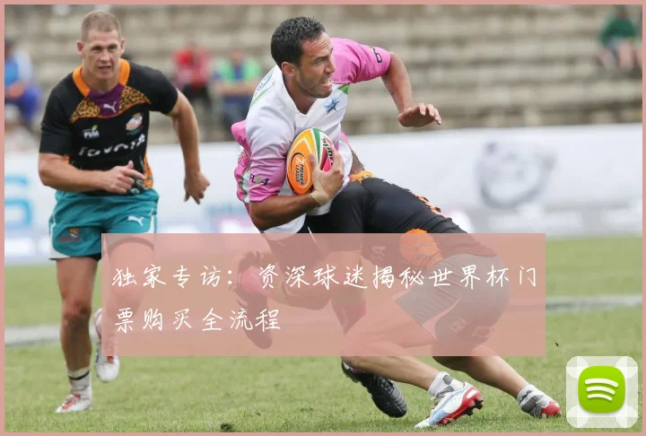 独家专访:资深球迷揭秘世界杯门票购买全流程