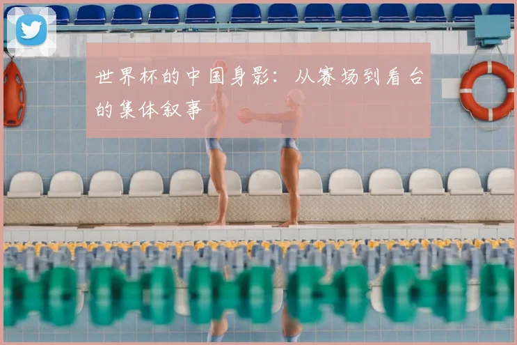 世界杯的中国身影：从赛场到看台的集体叙事