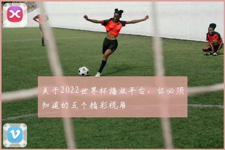 关于2022世界杯播放平台,你必须知道的五个精彩视角