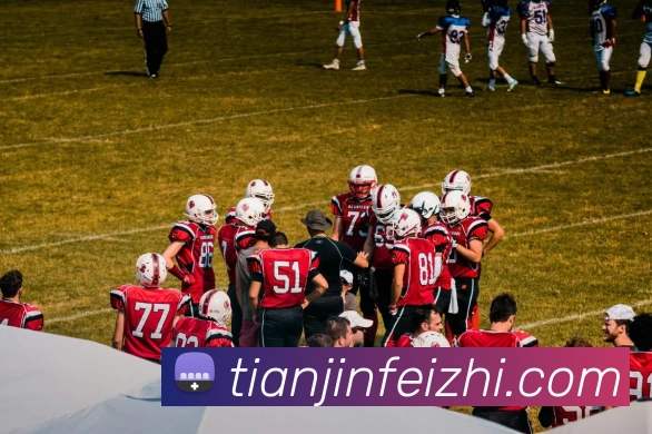 开云官方体育app官网服务体系